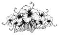 Hibiscus Flowers Vintage Style Woodcut Engraved Etching Royalty Free Stock Photo