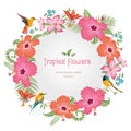 Topical flowers frame. Exotic background. Flowers and birds vector. Hummingbird vector.