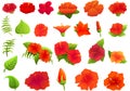 Hibiscus icons set, cartoon style Royalty Free Stock Photo