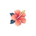 Hibiscus logo