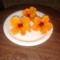 Hibiscus; an orange coloured flower