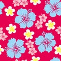 Hibiscus pattern Royalty Free Stock Photo