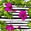 Summer Beach Background. Watercolor Seamless Pattern. Hand Painted Tropic Summer Motif with Monstera and Hibiscus Royalty Free Stock Photo