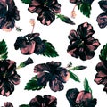 Watercolor Seamless Pattern. Hand Painted Illustration of Tropical Leaves and Flowers. Tropic Summer Motif with Hibiscus Pattern. Royalty Free Stock Photo