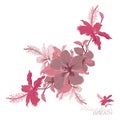 Hibiscus pink hues flowering wreath Vector Illustration