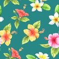 Hibiscus & plumeria watercolor pattern on green wallpaper