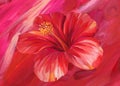Hibiscus red flower painted with Oil painting on canvas. Modern hand drawn art Royalty Free Stock Photo