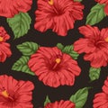 Hibiscus, red flowers, leaf pattern. Seamless background, retro botanical texture. Blossomed floral plants, vintage