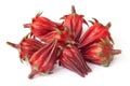 Hibiscus sabdariffa or roselle fruits Royalty Free Stock Photo