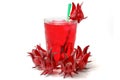 Hibiscus sabdariffa or roselle fruits and drink isolated