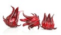 Hibiscus sabdariffa or roselle fruits