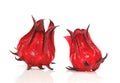 Hibiscus sabdariffa or roselle fruits