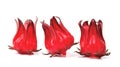 Hibiscus sabdariffa or roselle fruits