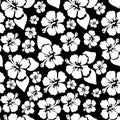 Hibiscus seamless background in black and white colors