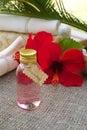 Hibiscus shampoo Royalty Free Stock Photo