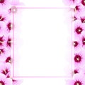 Hibiscus syriacus - Rose of Sharon Banner Card Border. Vector Illustration