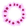 Hibiscus syriacus - Rose of Sharon Wreath. Vector Illustration Royalty Free Stock Photo