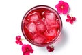 Hibiscus Tea, Dry Rose Drink, Cold Fruit Red Tea in Transparent Mug, Roselle Hibiscus Tea Royalty Free Stock Photo