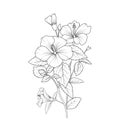hibiscus vector art natural autumn leaf of hand-drawn illustration isolated on a white background clip art coloring book Royalty Free Stock Photo