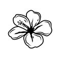 Hibiscus vector illustration black outline