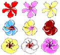 Hibiscus Vector Set