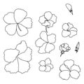 Hibiscus vector set isolate on white background Royalty Free Stock Photo