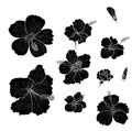 Hibiscus vector set isolate on white background Royalty Free Stock Photo