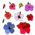 Hibiscus vector set isolate on white background Royalty Free Stock Photo