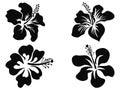 Hibiscus vector silhouettes Royalty Free Stock Photo