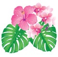 Beautiful hibiscus and orchid flowers.