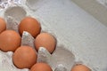 ÃÂ¡hicken eggs in a cardboard package Royalty Free Stock Photo