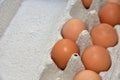 ÃÂ¡hicken eggs in a cardboard package Royalty Free Stock Photo
