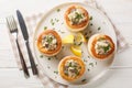 ÃÂ¡hicken mushrooms Vol au vent closeup on the plate on the wooden table. Horizontal top view