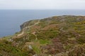 Many hikers on the cliffs of howth head, ireland with vegetation