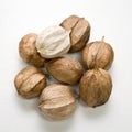 Hickory Nuts