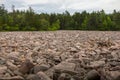 Hickory Run State Park Boulder Field, Lake Harmony, Pennsylvania, United States of America Royalty Free Stock Photo