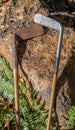 Vintage hickory shafted golf clubs isolated Royalty Free Stock Photo