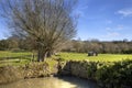 Hidcote Bartrim Royalty Free Stock Photo