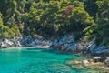 Hidden beach surrounded with pine trees and crystal clear turquoise water near Cape Amarandos at Skopelos island Royalty Free Stock Photo