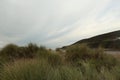 Hidden behind the grass on the dunes dunes over Saunton Sands beach in Devon, South West, UK Royalty Free Stock Photo
