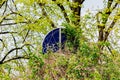 Hidden bike and  pedestrian path by overgrown bush. Royalty Free Stock Photo