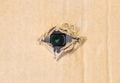 Hidden camera in torn hole in cardboard paper