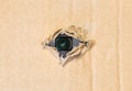 Hidden camera in torn hole in cardboard paper Royalty Free Stock Photo