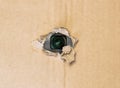 Hidden camera in torn hole in cardboard paper