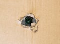 Hidden camera in torn hole in cardboard paper Royalty Free Stock Photo