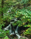 Hidden Cascading Waterfalls in Blue Ridge Mountains Royalty Free Stock Photo