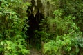 Hidden cave entrance