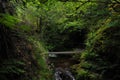 Hidden corner with a bridge in the nature Royalty Free Stock Photo