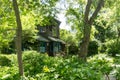 Hidden cottage in woods on Toronto Island