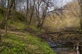 hidden countryside path, forest thickets after rain, still river surface, rich weed vegetation, fallen tree trunk, spring sun Royalty Free Stock Photo